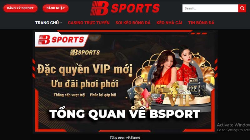 Bsport | Trang cược thể thao uy tín số 1 tại châu Á