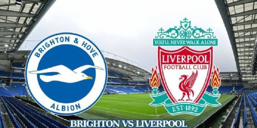Soi Kèo Brighton Vs Liverpool 2h Ngày 20/5 Cùng Chuyên Gia