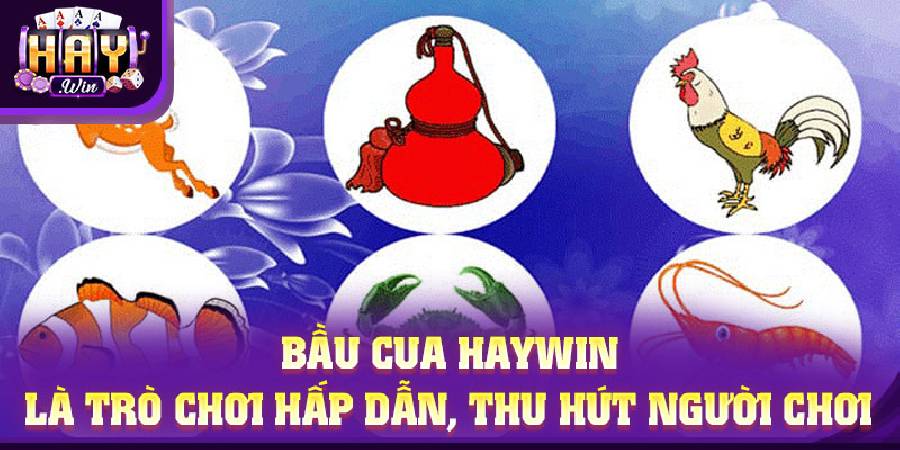 Bầu cua HAYWIN – Khi may mắn gặp đúng thời điểm