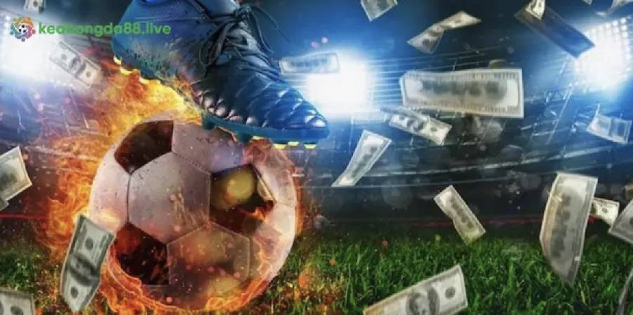 Review Nhà Cái Uy Tín: Đánh Giá Tổng Quan về Các Nhà Cái Hiện Nay