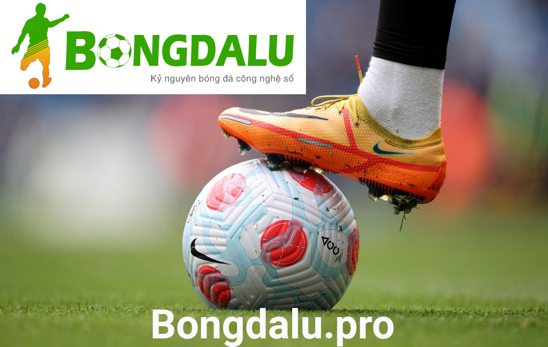 Xem bảng xếp hạng bóng đá mới nhất trên Bongdalu VIP
