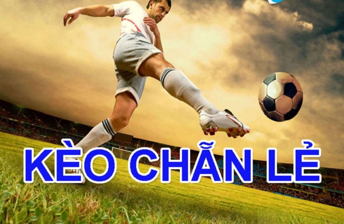 [Chia sẻ] Bí quyết soi kèo chẵn lẻ chắc của các cao thủ